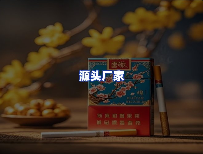 专业团队